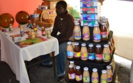 COMMENTARY: Cultivating Dominica&rsquo;s seamoss industry from shore to land