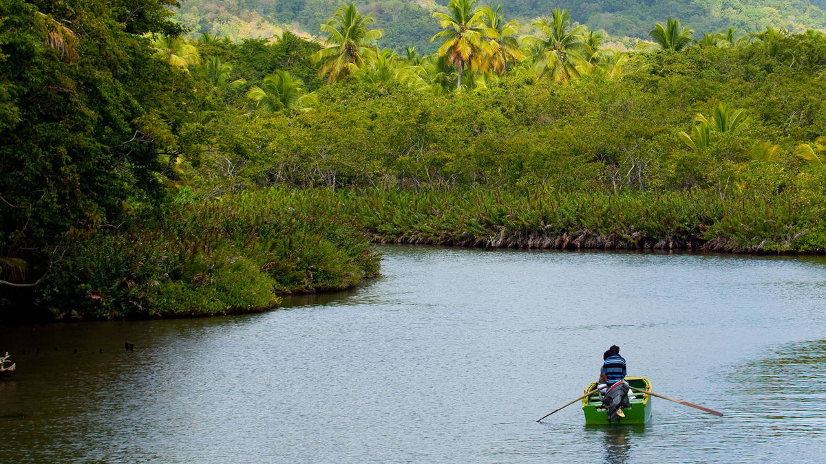 Dominica arrivals jumped 300% in 2022, its tourism arm says